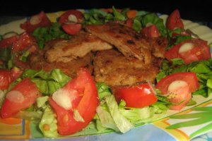 Snitele din soia cu salata si rosii