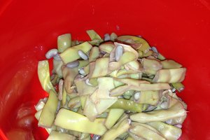 Salata de pui cu fasole pastai si branza