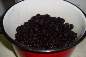 Sirop de mure