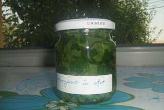Oregano in otet