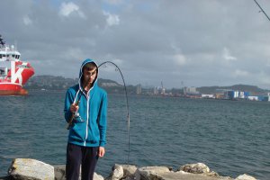 Peste din Marea Nordului facut pane