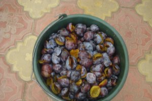 Compot de prune a la Mala