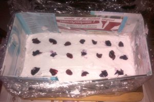 Tort moale Kinder Pinguin
