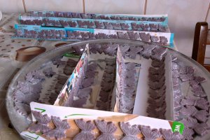 Tort moale Kinder Pinguin