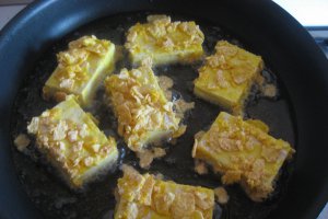 Tofu in crusta crocanta
