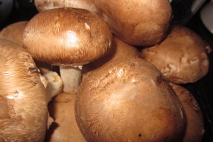 Ciuperci brune la cuptor