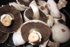 Ciuperci brune la cuptor
