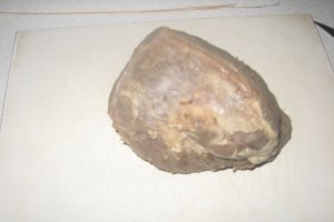 Friptura de vita