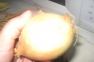 Friptura de vita
