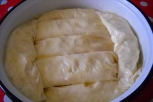 Placinta dobrogeana 2