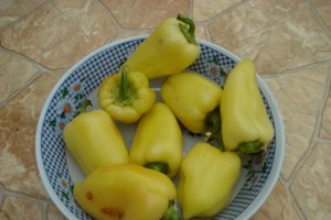 Ghiveci a la Mala