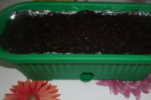 Tort "Delaco" la ghiveci