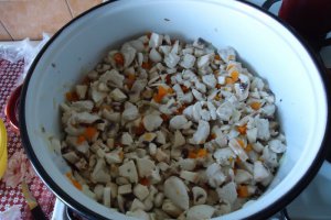Tocana de ciuperci cu piept de pui