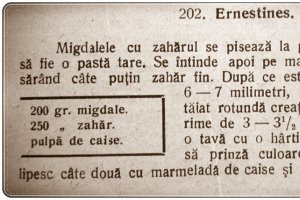 Ernestines--reteta de peste 100 de ani!