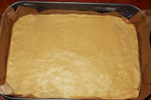 Prajitura cu branza de vaci