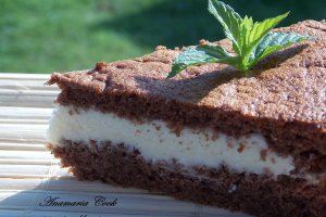 Prajitura Milch Schnitte