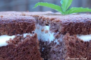 Prajitura Milch Schnitte