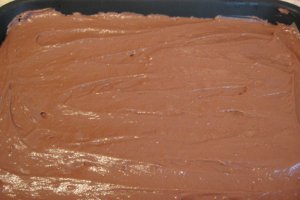 Desert prajitura cu blat ciocolatos si budinca de vanilie