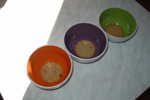 Budinca cu fructe si jelly