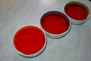 Budinca cu fructe si jelly