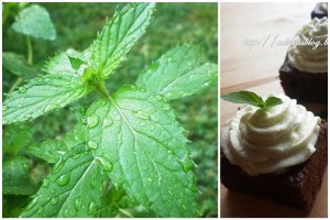 Prajitura After Eight