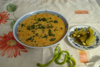   IAHNIE  DE FASOLE  