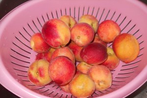 Compot de piersici