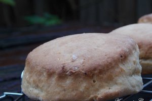 Scones