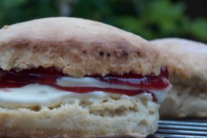Scones