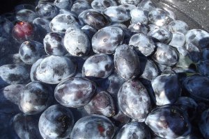 Gem de prune