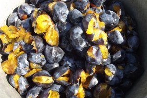Gem de prune