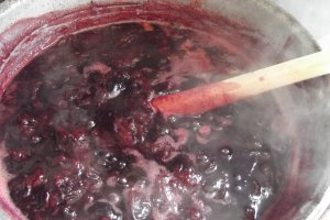 Gem de prune