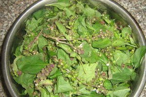 Busuioc verde in ulei
