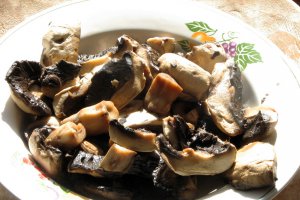 Drob de nuci si ciuperci