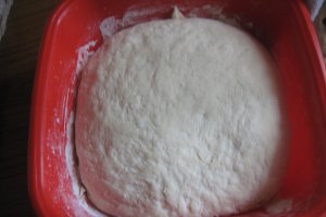 Paine MARGARETA