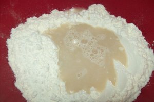 Pizza Capriciosa