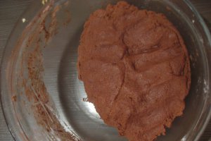 Biscuiti cu ciocolata (nasturei)