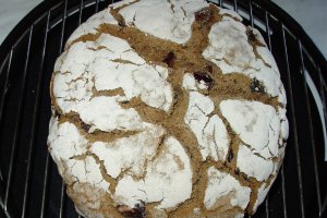 Paine din secara cu masline Kalamata, coaja de lamaie si herbes de Provence