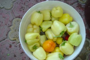 Salata asortata cu Vinobrand