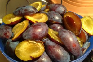 Magiun de prune