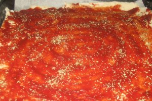 Pizza cu pui