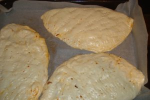 Pizza Calzone