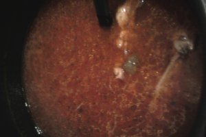 Ciorba cu legume si aripi de pui