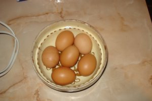Prajitura cu branza dulce si Ceva fin de la Delaco
