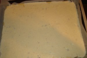Prajitura cu branza dulce si Ceva fin de la Delaco