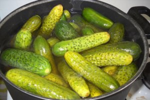 Castraveti la otet