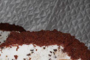Musuroi de cartita cu piersici