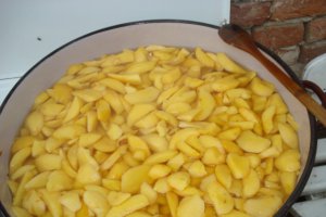Compot de gutui