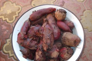 Salata de sfecla rosie cu hrean
