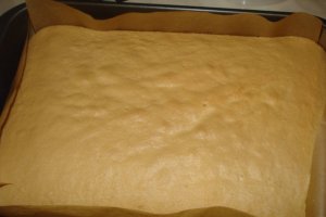 Prajitura cu crema de ciocolata si mere